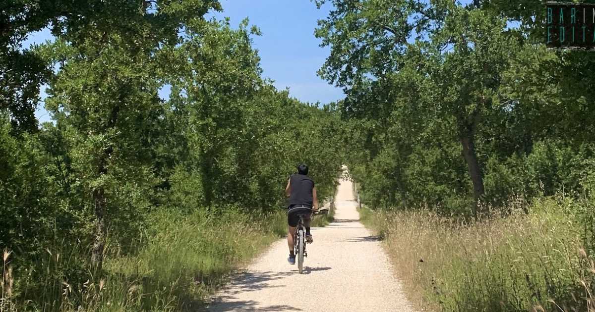 Natura, trulli e chiesette: in Valle d'Itria alla scoperta della "ciclovia dell'acqua"